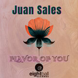 Flavor Of You (Radio Edit)