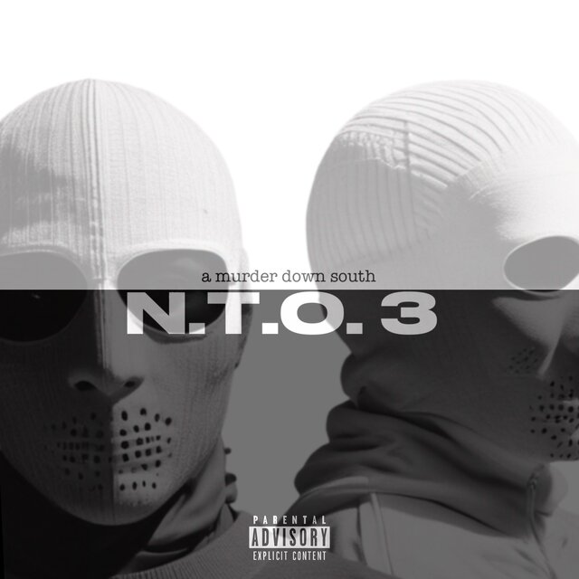 N.T.O. 3: A Murder Down South