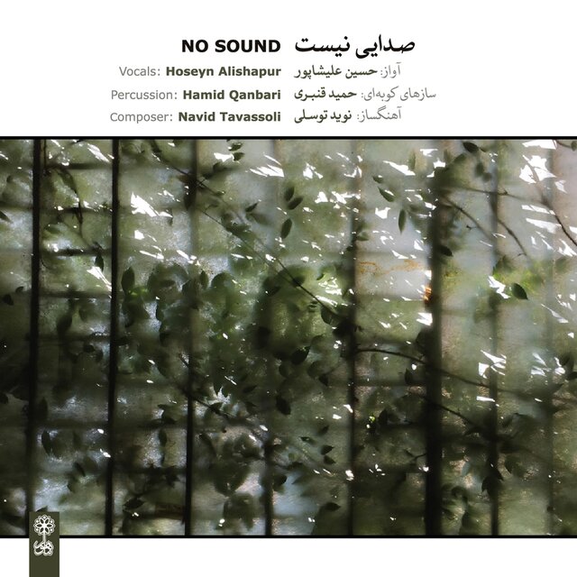 No Sound