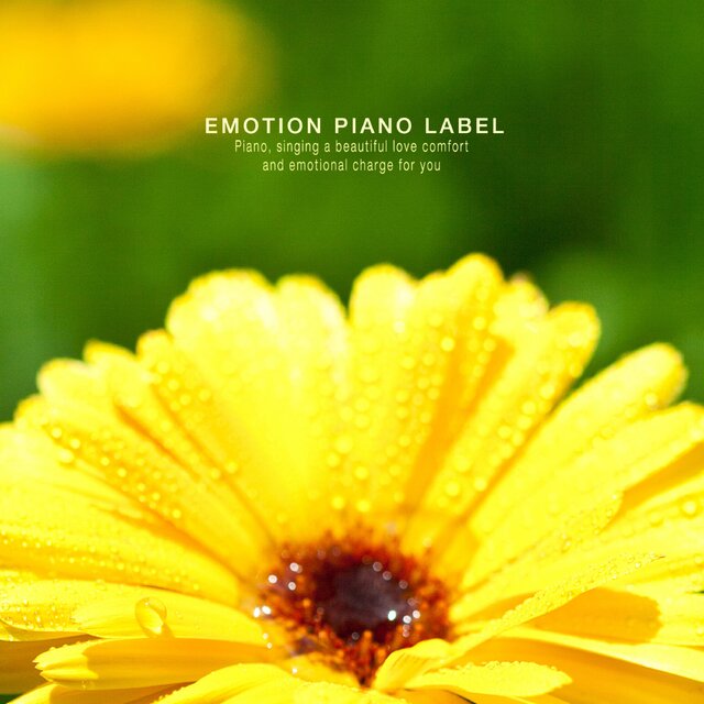 A happy piano filled with warmth