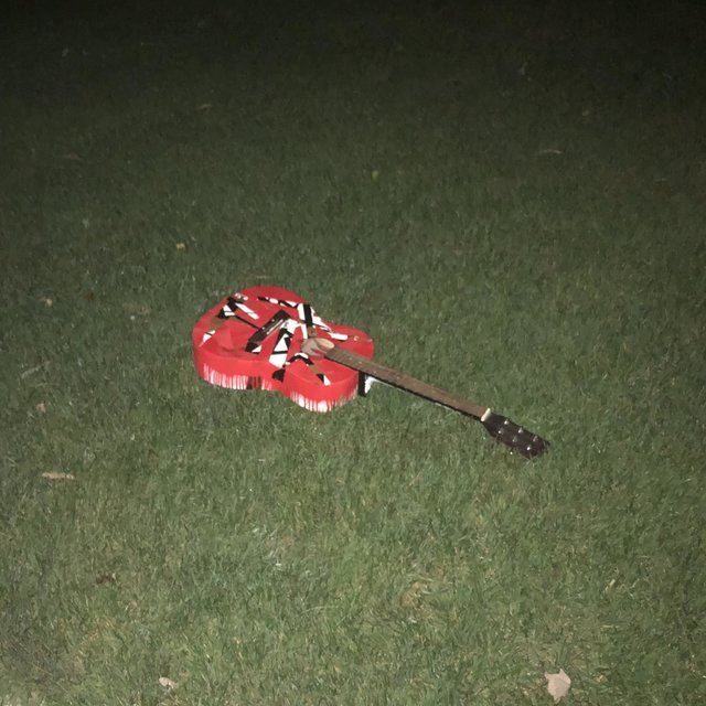rectus goes acoustic