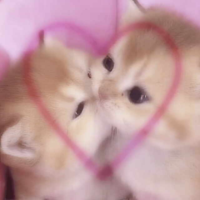 10 de Junio <3