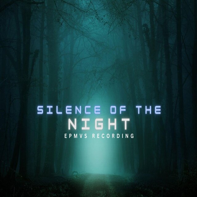 Silence Of The Night