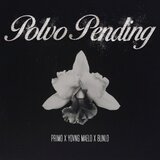 Polvo Pending