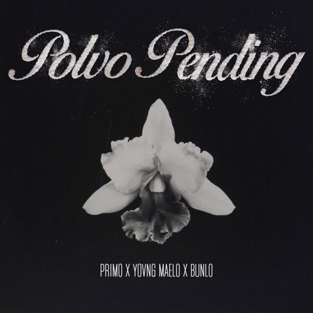 Polvo Pending