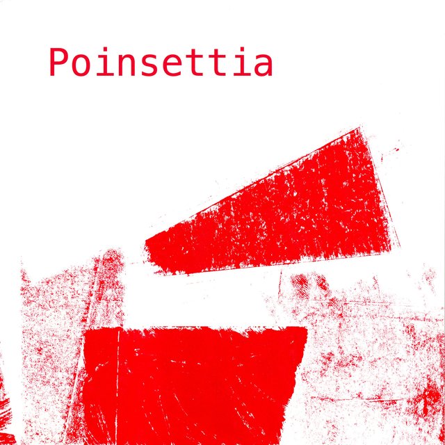 Poinsettia
