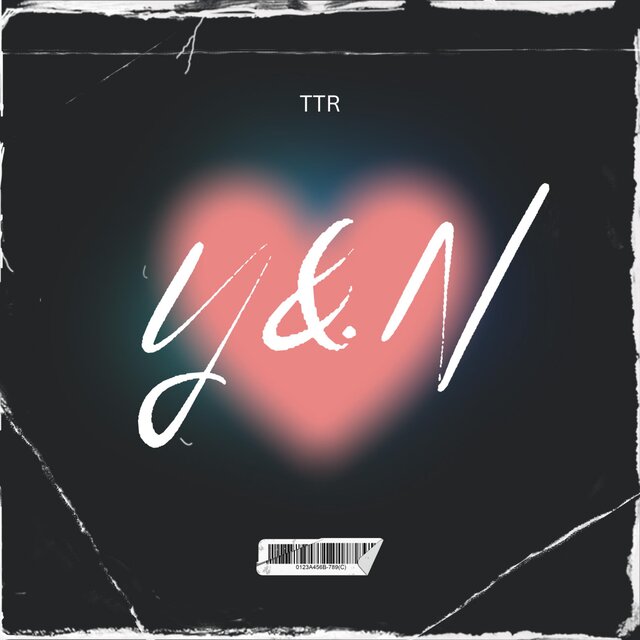 Y&N