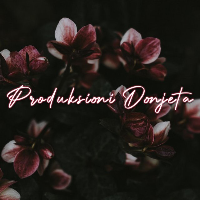 Arkivi 48 Produksioni Donjeta