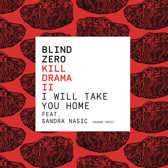 I Will Take You Home (feat. Sandra Nasic)