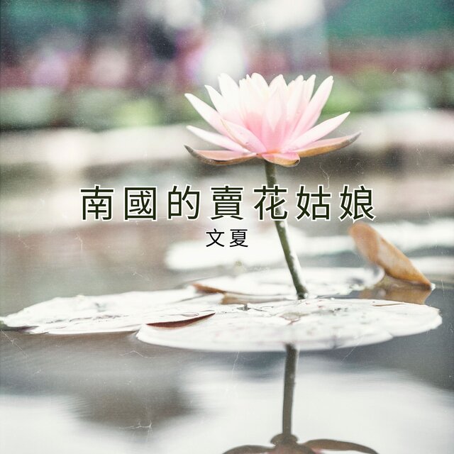 南國的賣花姑娘