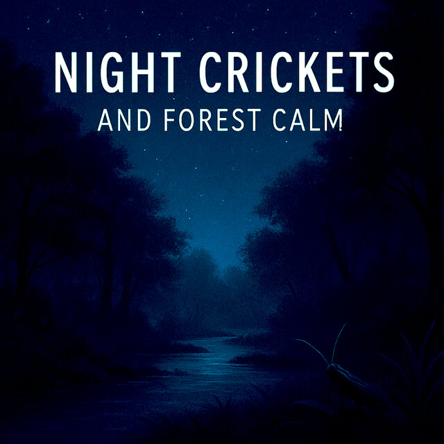 Night Crickets And Forest Calm