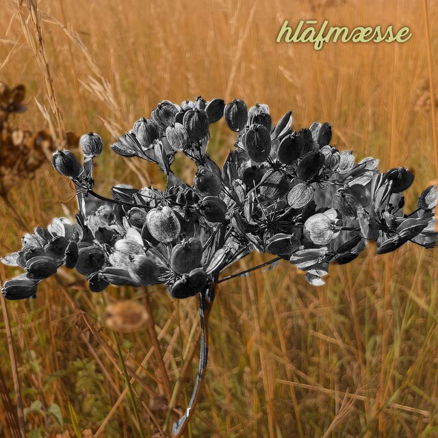 hlāfmæsse