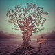 Cover art for album Shake the Tree by The Brew