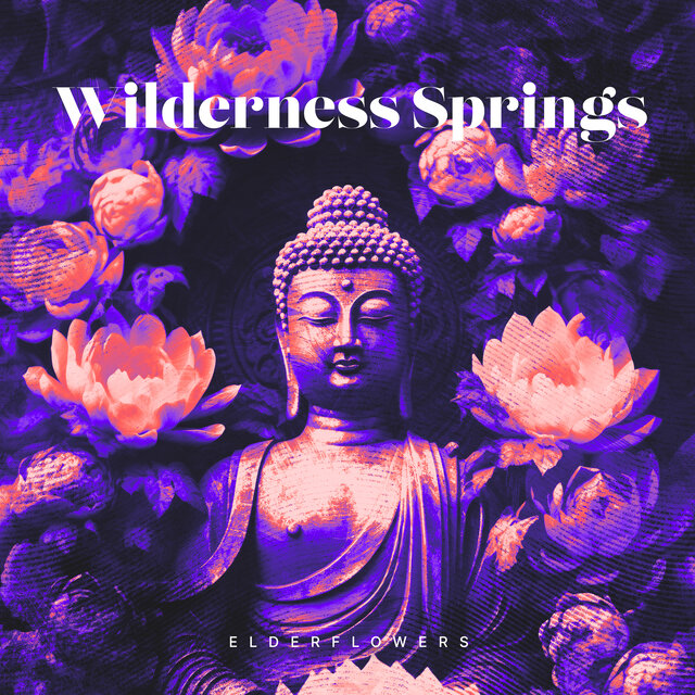 Wilderness Springs
