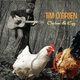 Cover art for album Chicken & Egg by Tim O'Brien