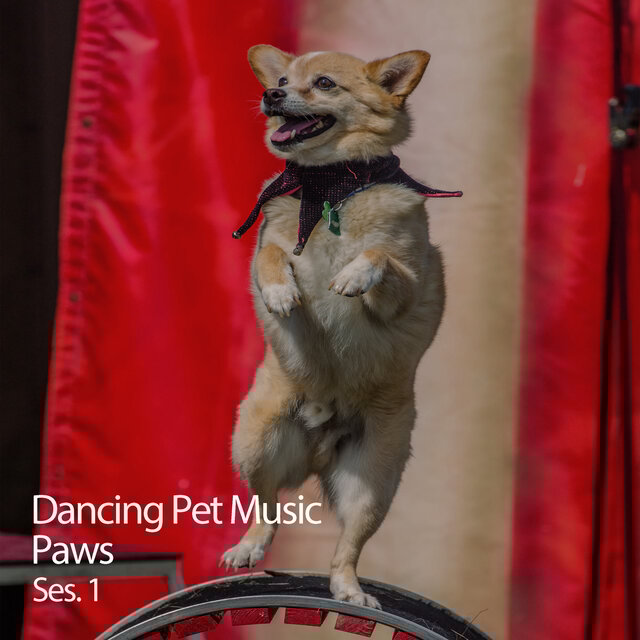 Dancing Pet Music Paws Ses. 1