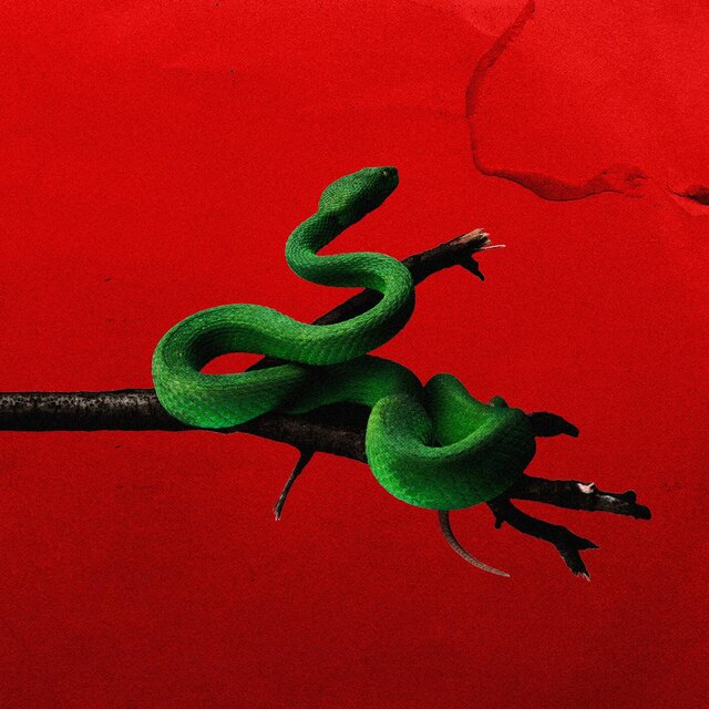 Ninho de Cobra (feat. TcheloBeats)