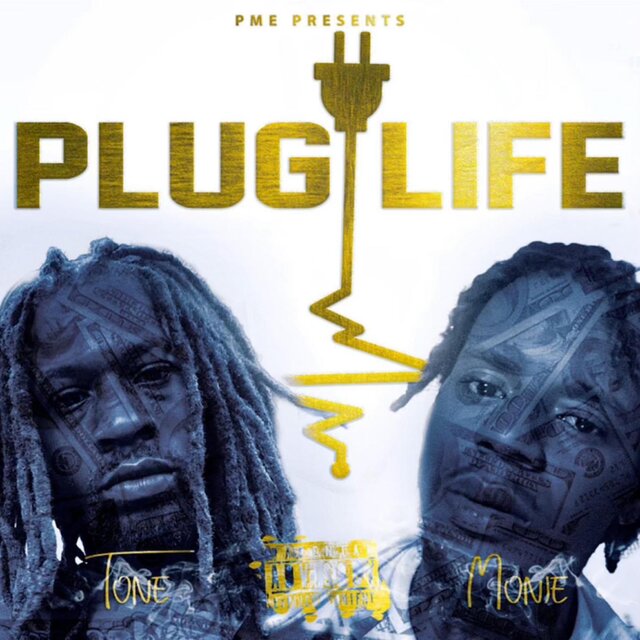 Plug Life