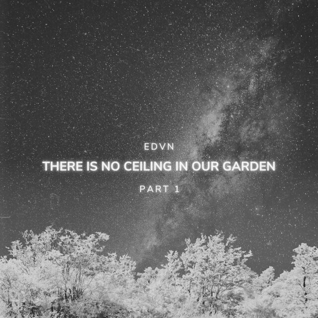 There Is No Ceiling In Our Garden (Part I)