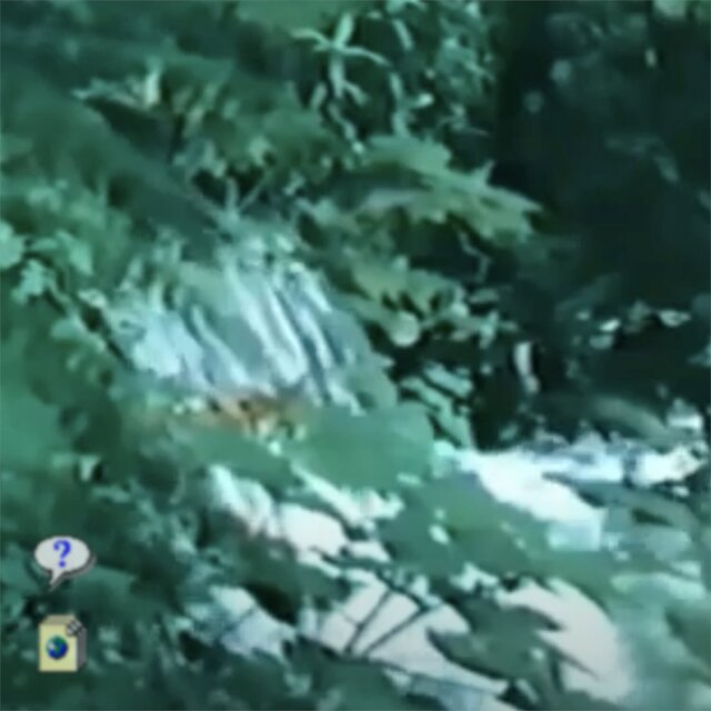 ＧＯＤシステム