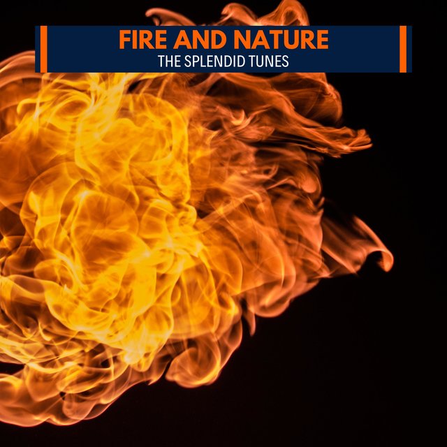 Fire And Nature - The Splendid Tunes
