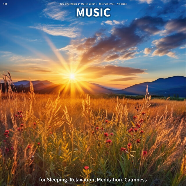 #01 Music for Sleeping, Relaxation, Meditation, Calmness