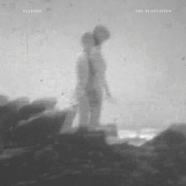 The Plantation
