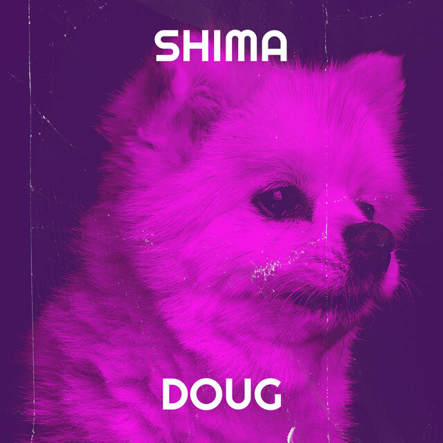 Shima