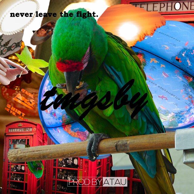 never leave the fight.