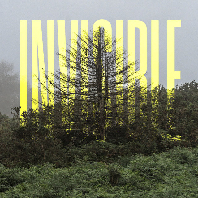 Cover art for album The Invisible EP by Ólafur Arnalds