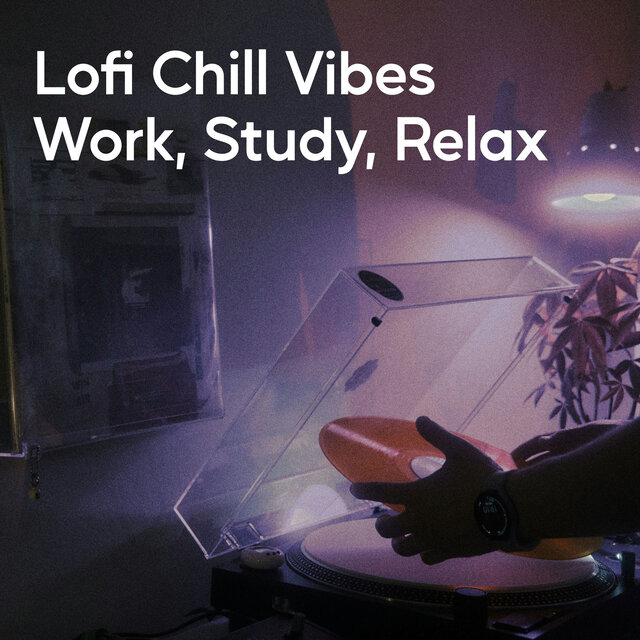 Lofi Chill Vibes - Work, Study, Relax