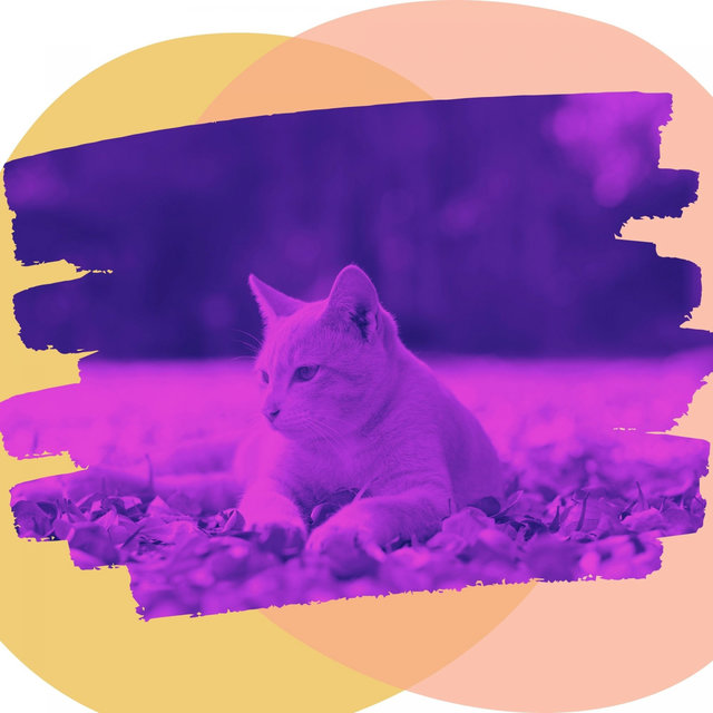 Ambiance for Cats and Dogs Relaxation