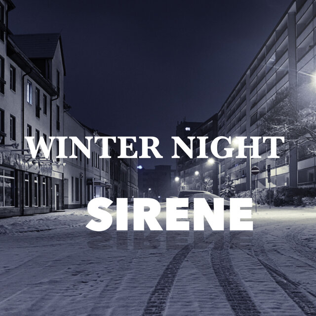 Winter Night