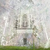 Dryad (Parasol Remix)