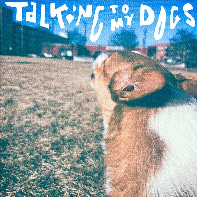 Talking To My Dogs