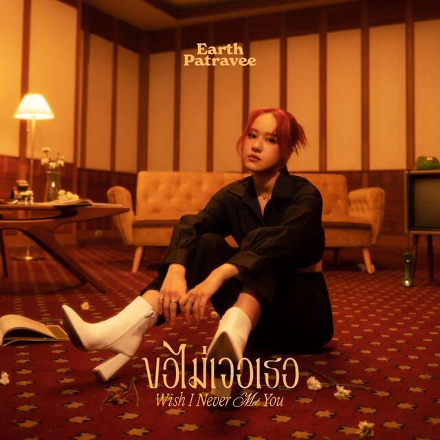 ขอไม่เจอเธอ (Wish I Never Met You) - Single