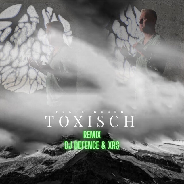 Toxisch (Remix)