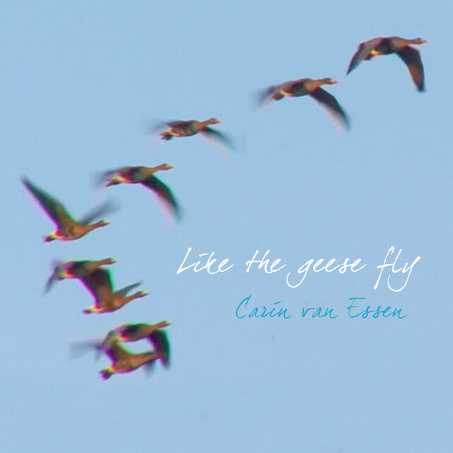 Like the Geese Fly