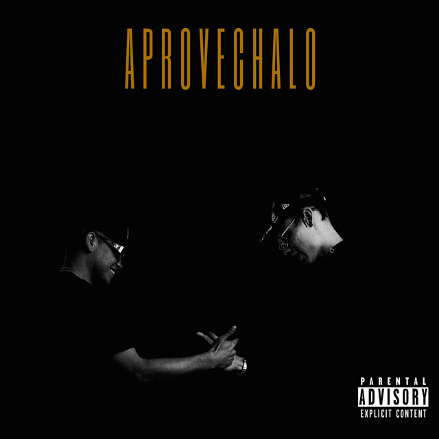 Aprovechalo