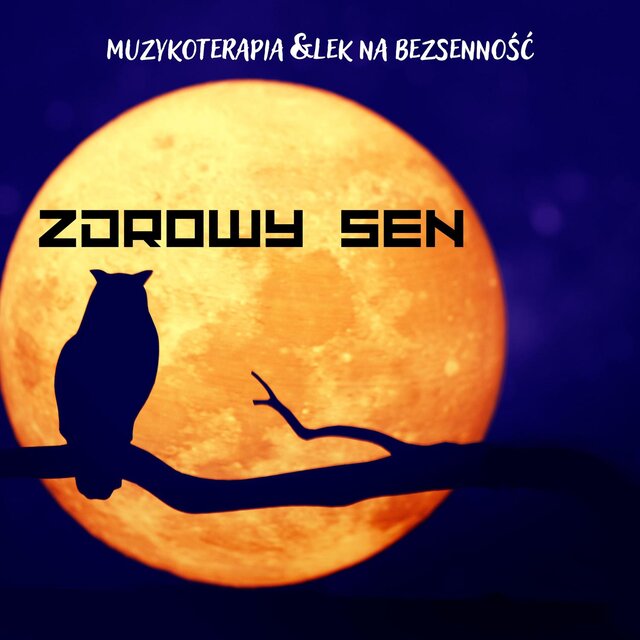 Zdrowy Sen – Muzykoterapia & Lek na Bezsenność