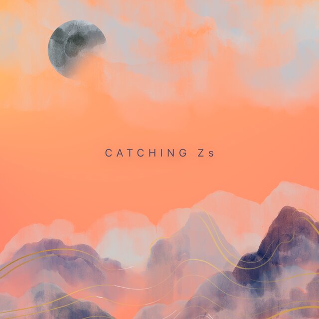 Catching Zs