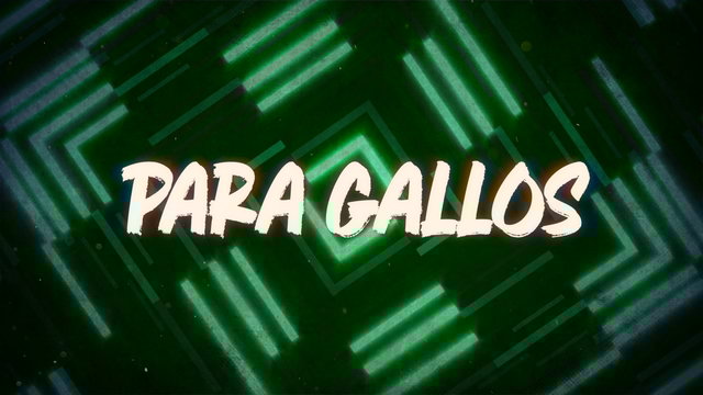 Para Gallos