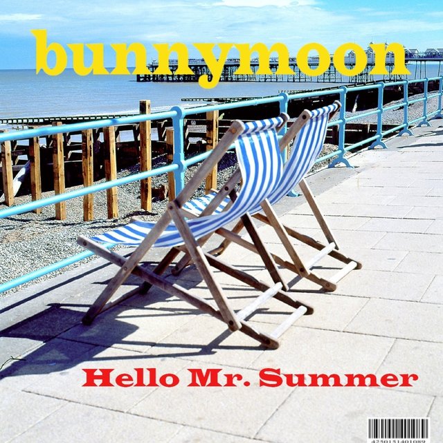 Hello Mr. Summer