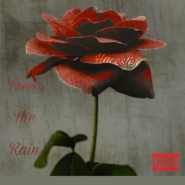 From The Rain