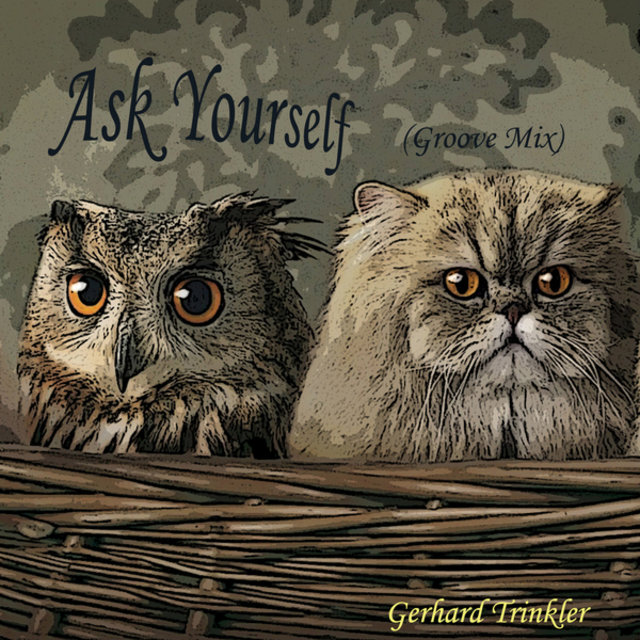 Ask Yourself (Groove Mix)