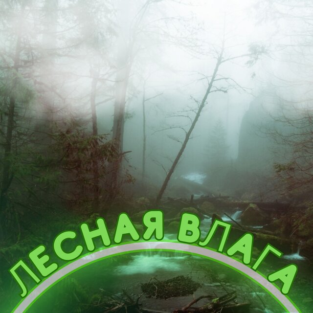 Лесная влага