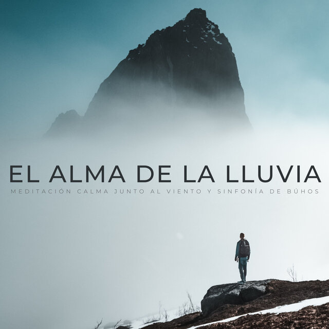 El Alma De La Lluvia: Meditación Calma Junto Al Viento Y Sinfonía De Búhos