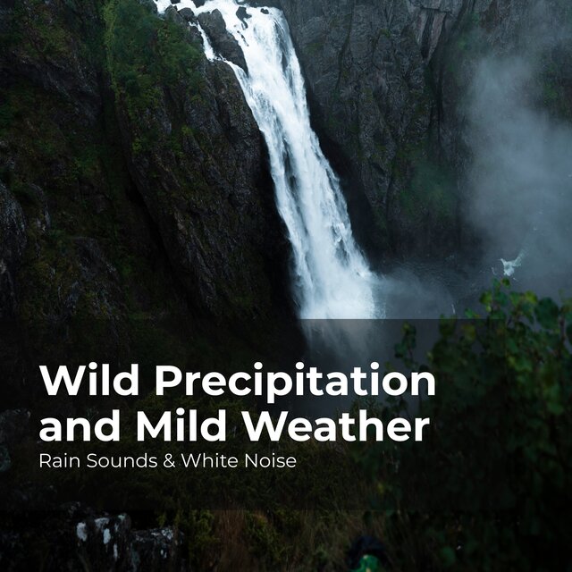 Wild Precipitation and Mild Weather