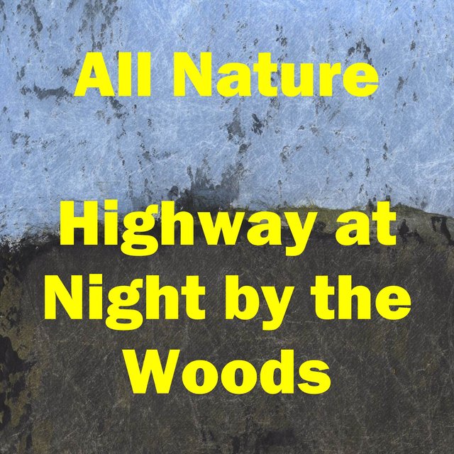 Highway at Night by the Woods