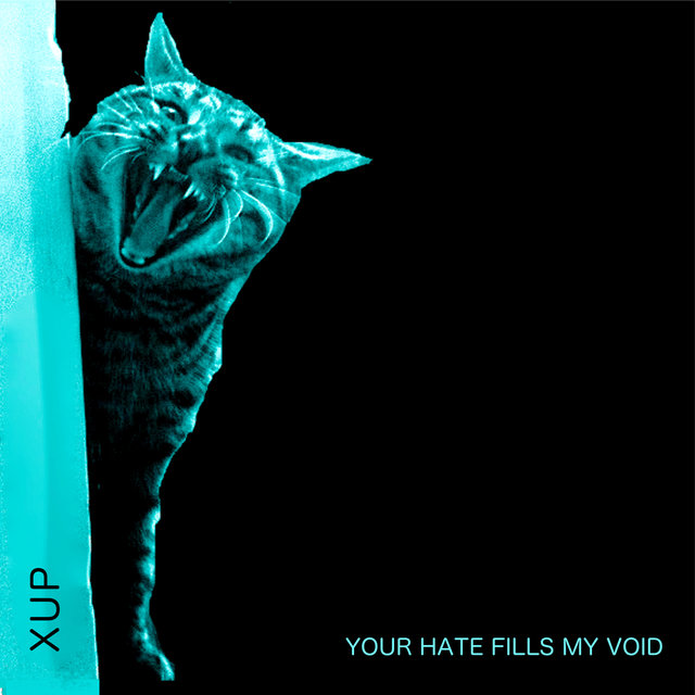 Your Hate Fills My Void